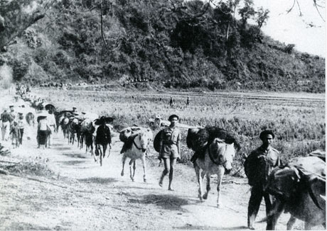 Từng đoàn ngựa thồ của đồng bào các dân tộc Tây Bắc vậ chuyển lương thực, vũ khí phụ vụ chiến trường Điện Biên Phủ.