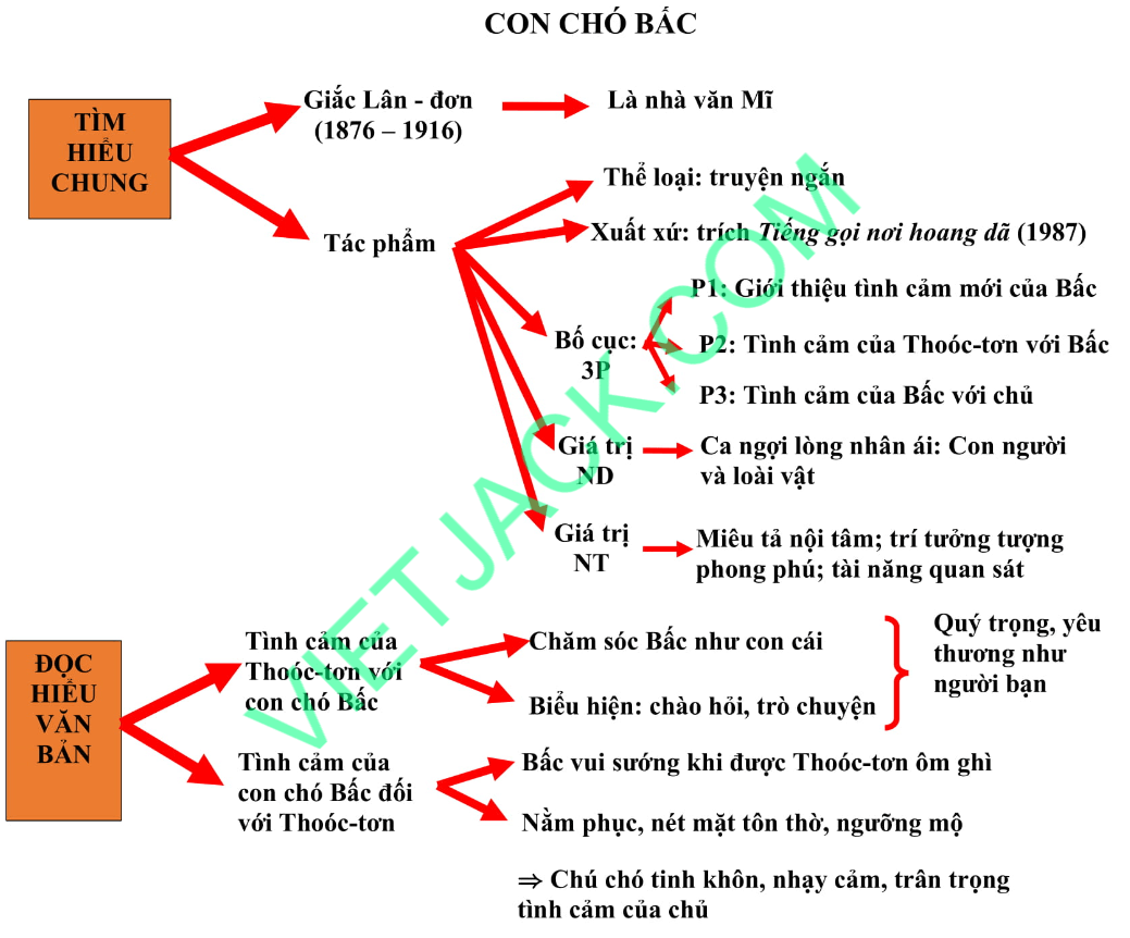 phân tích Con chó Bấc