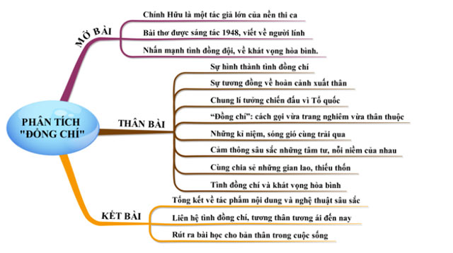 Sơ Đồ Tư Duy Đồng Chí: Luận Điểm & Nhánh Chi Tiết