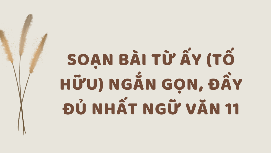 Soạn Bài Từ Ấy Ngắn Gọn, Đầy Đủ Nhất Soạn Bài Từ Ấy Ngắn Gọn, Đầy Đủ Nhất