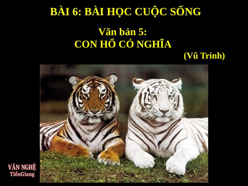 Phân tích Con hổ có nghĩa - Hình tượng con hổ và sự nhân hóa giàu ý nghĩa
