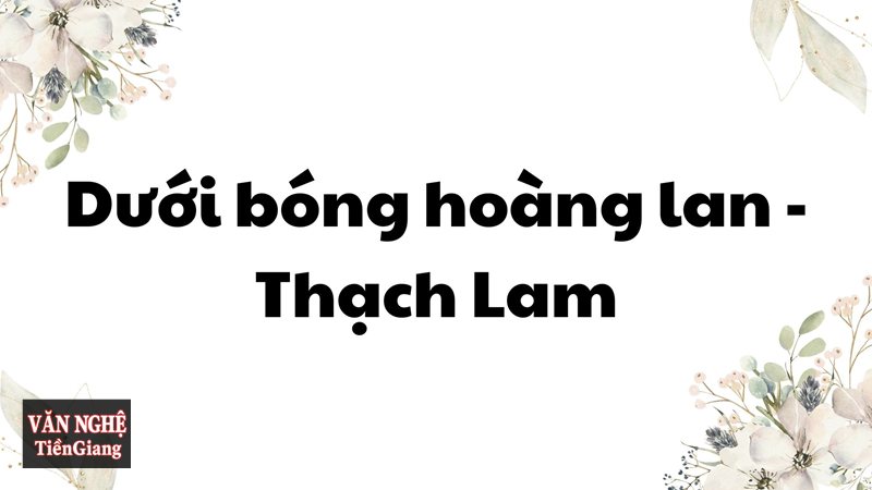 Phân tích Dưới bóng hoàng lan - Một câu chuyện ít sự kiện nhưng giàu dư ba Phân tích Dưới bóng hoàng lan - Một câu chuyện ít sự kiện nhưng giàu dư ba