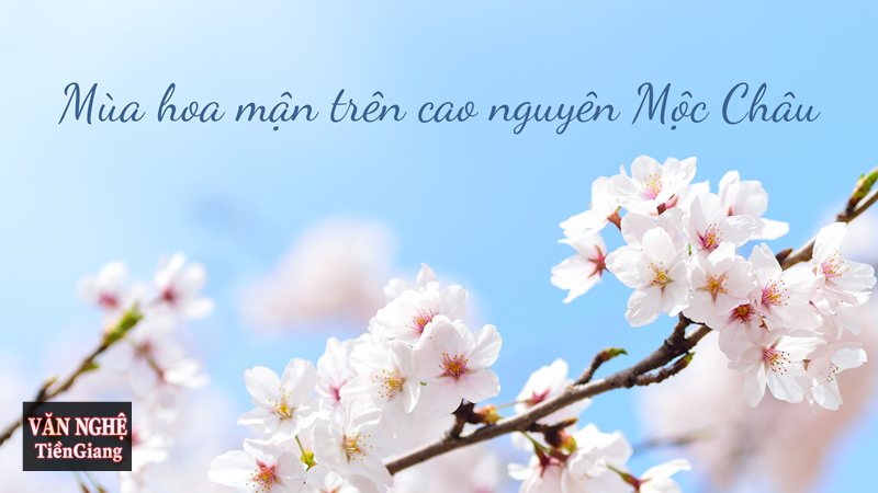 Phân tích Mùa hoa mận - Trẻ nhỏ, trai gái làm bức tranh thêm rộn ràng