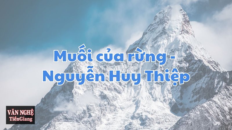 Phân tích Muối của rừng: Hành trình thức tỉnh của ông Diểu
