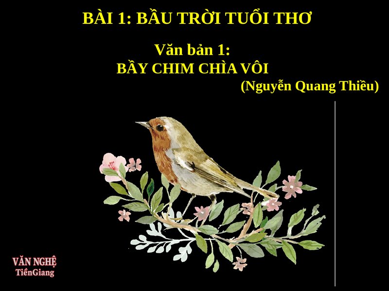 Soạn bài Bầy chim chìa vôi - Tóm tắt Bầy chim chìa vôi Soạn bài Bầy chim chìa vôi - Tóm tắt Bầy chim chìa vôi