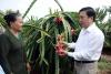 Chủ tịch UBND tỉnh Trần Thế Ngọc thăm bà con nông dân xã Quơn Long,huyện Chợ Gạo. Ảnh: Vân Trường