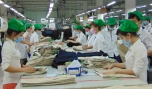 Cty cổ phần may Việt Tân: Nâng cao hiệu quả sản xuất - kinh doanh
