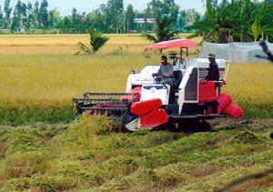 Việc đẩy mạnh áp dụng tiến bộ kỹ thuật và cơ giới hóa giúp gia tăng hiệu quả trồng lúa.