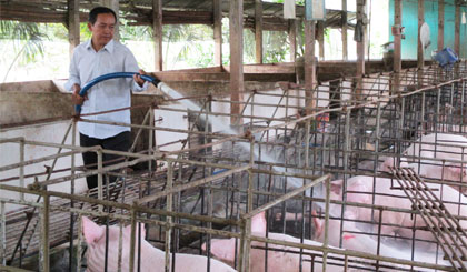 Ông Nguyễn Văn Hải vệ sinh chuồng trại chăn nuôi.