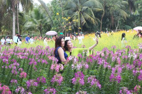 Khách tham quan chụp ảnh selfie tại vườn hoa.