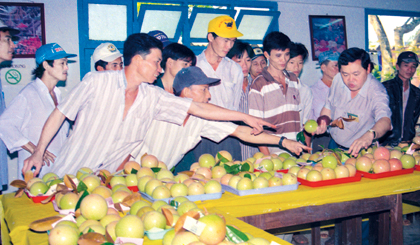 Vú sữa Lò Rèn là đặc sản trái cây của Tiền Giang cần được bảo tồn và phát triển. Ảnh: NGỌC LAN